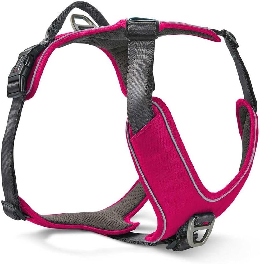 Wolters Active Pro Comfort Hundegeschirr | Magenta-Anthrazit | Verstellbares Brustgeschirr mit Sicherheitsverschlüssen