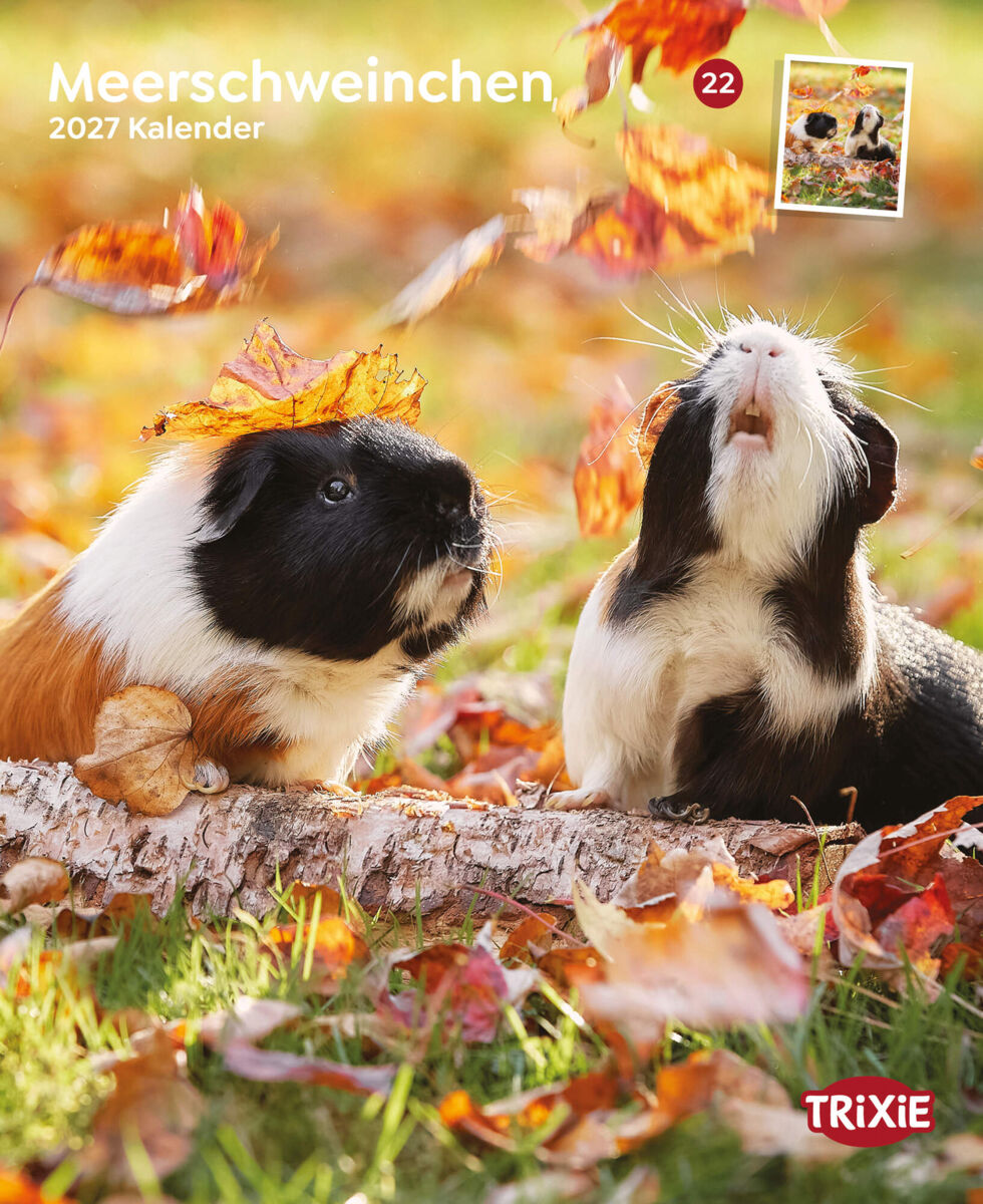 Trixie Motivkalender 2027 | Jahreskalender mit verschiedenen Motive und Themen | Kalender Meerschweinchen