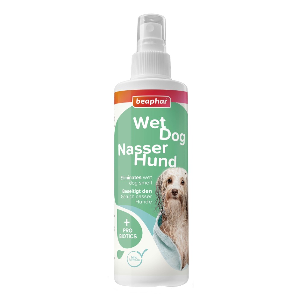 Beaphar Nasser Hund Spray | Fellpflege und Geruchsneutralisier für Hunde | Zerstäuber 250 ml