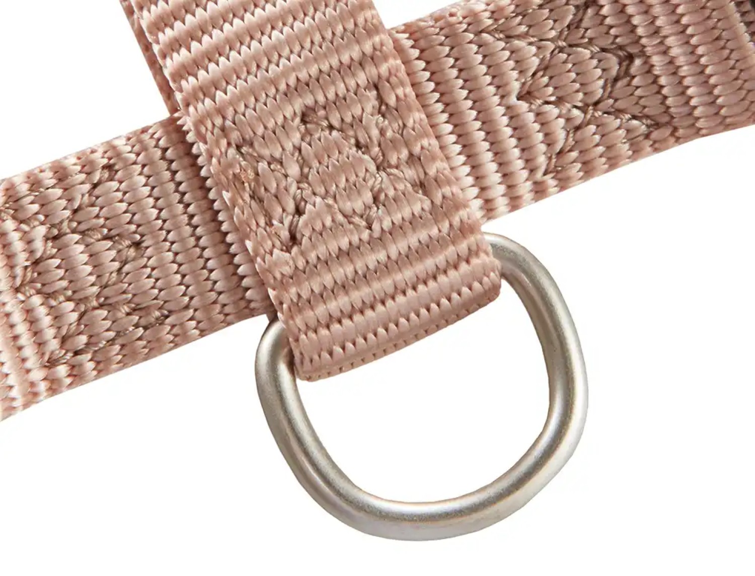 WOLTERS Professional Hundegeschirr | verstellbares Nylon-Geschirr für Hunde | Champagner - Gr. XS  (Brustumfang 25-35 cm, Breite 10 mm)