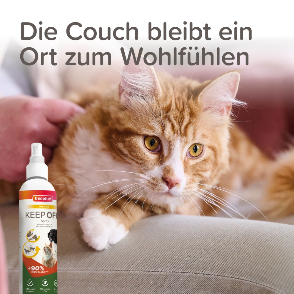 Beaphar Abwehrspray KEEP OFF für Hunde und Katzen | Schutzspray vor Markierungen | Indoor Pumpspray 200ml
