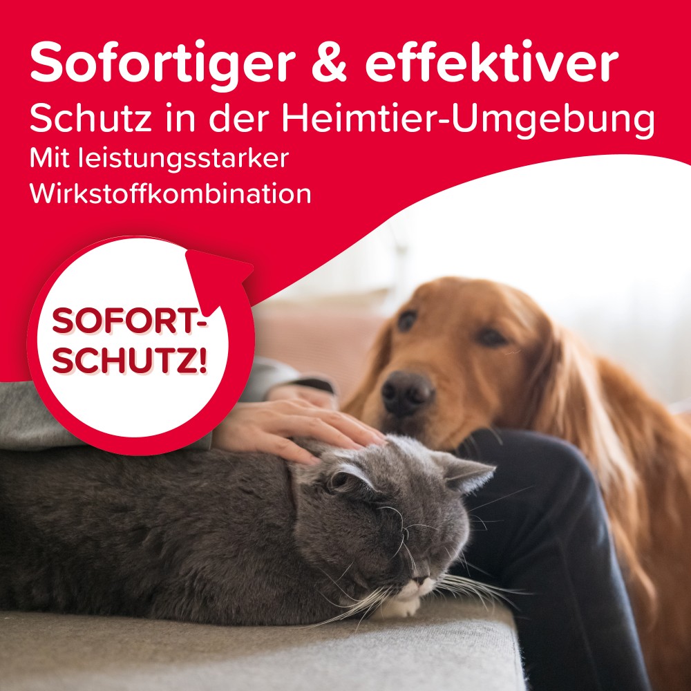 Beaphar VETOplus Parasiten-Fogger 200 ml | Floh- & Bettwanzenbekämpfung für Zuhause | 1 * 200 ml Dose