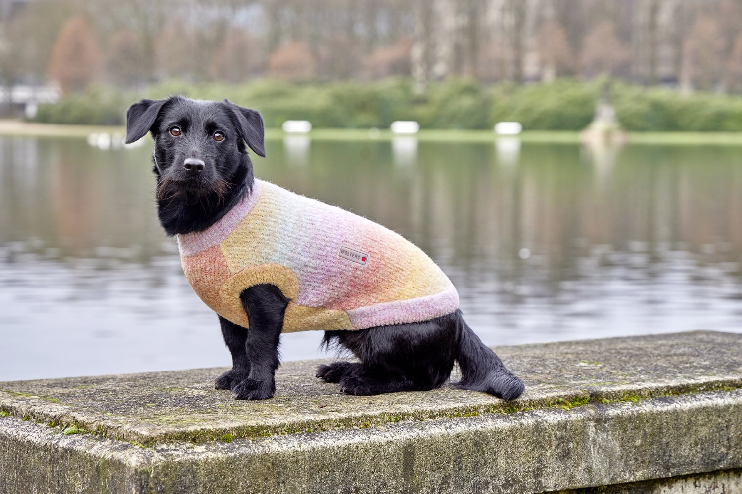 Wolters Strickpullover Hundepullover mit pastellfarbenen Verlauf | Gr. 20 (Rückenlänge 19 - 21 cm)