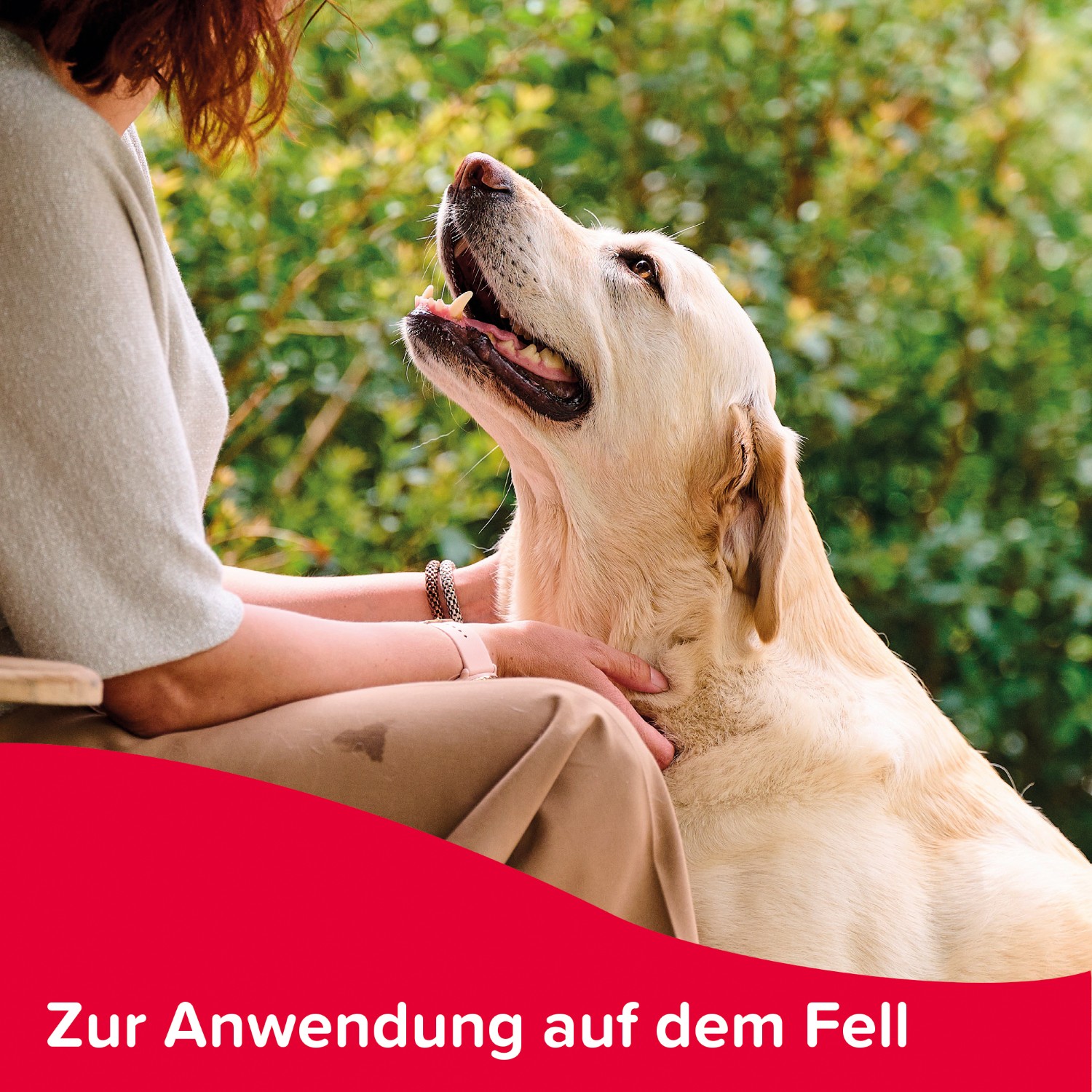Beaphar Flohschutz-Shampoo | Soforthilfe gegen Flöhe für Hunde und Katzen | Flasche 250 ml