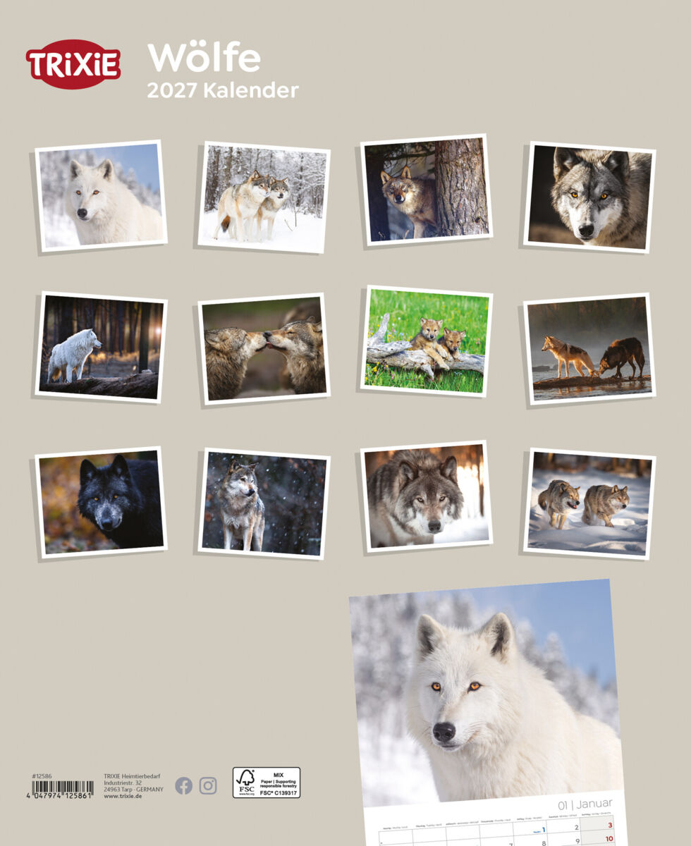 Trixie Motivkalender 2027 | Jahreskalender mit verschiedenen Motive und Themen | Kalender Wölfe
