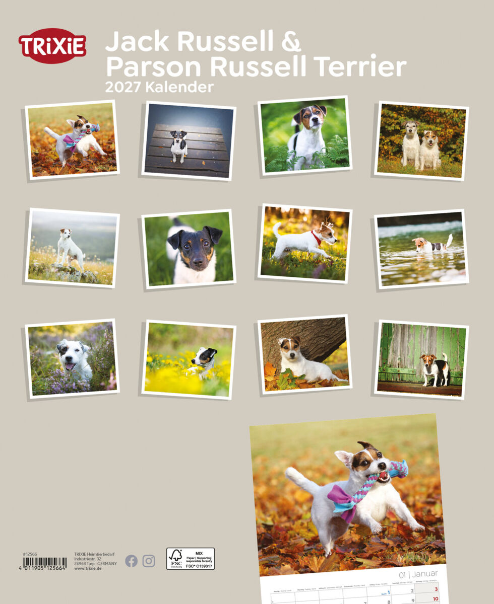 Trixie Motivkalender 2027 | Jahreskalender mit verschiedenen Motive und Themen | Kalender Jack Russell & Parson Russell Terrier