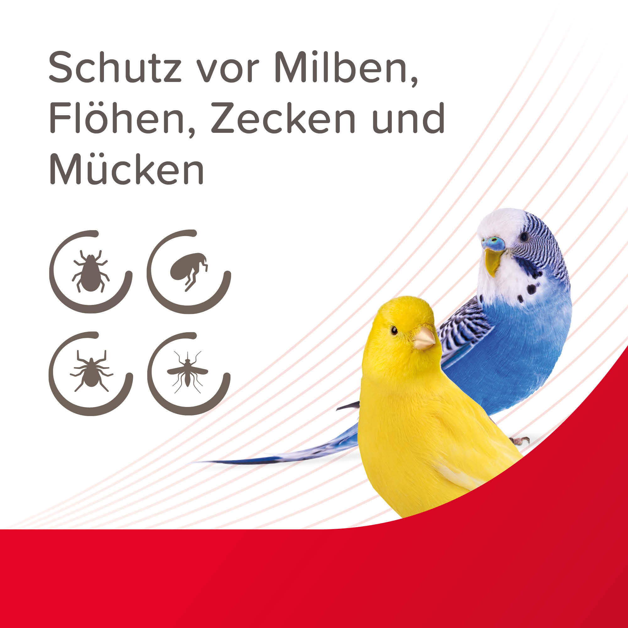 Beaphar VETOplus Milben-Zerstäuber für Vögel | Sofortschutz vor Parasiten | Flasche 100 ml