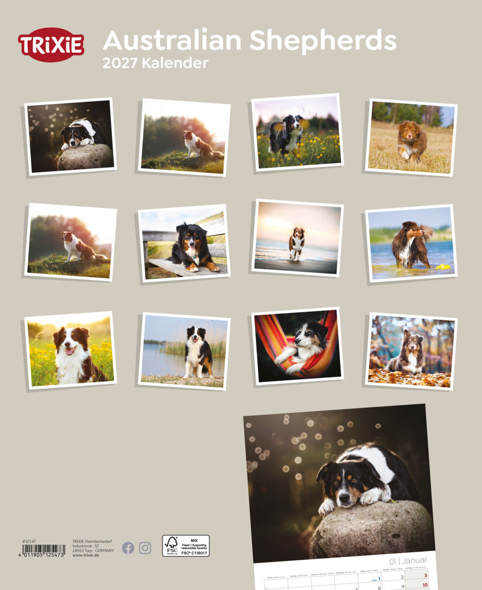 Trixie Motivkalender 2027 | Jahreskalender mit verschiedenen Motive und Themen |  Kalender Australian Shepherd