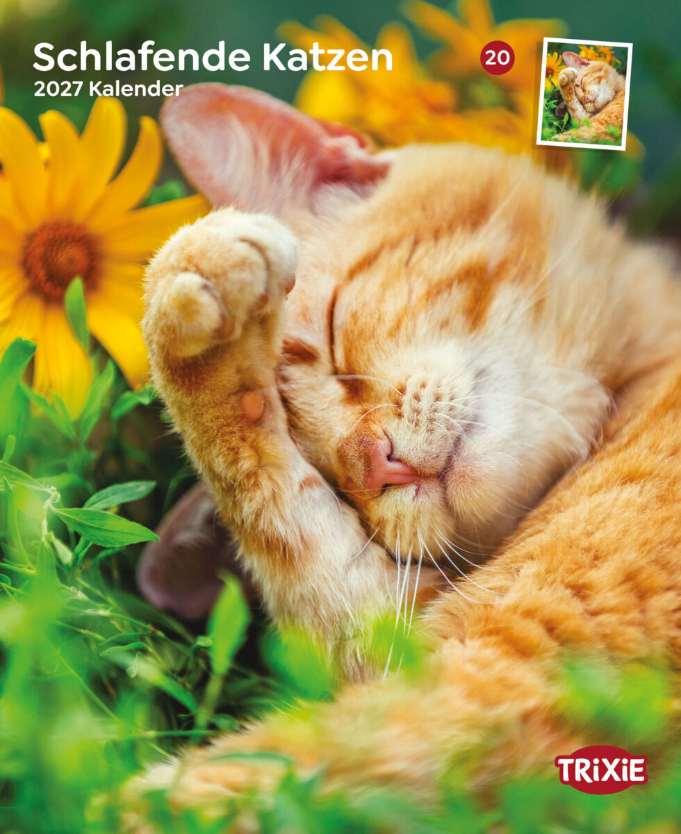 Trixie Motivkalender 2027 | Jahreskalender mit verschiedenen Motive und Themen | Kalender Schlafende Katzen