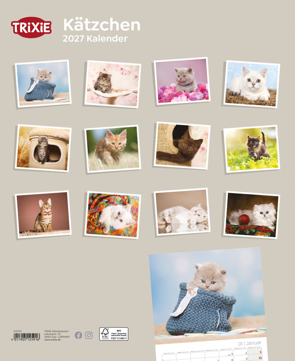 Trixie Motivkalender 2027 | Jahreskalender mit verschiedenen Motive und Themen | Kalender Kätzchen