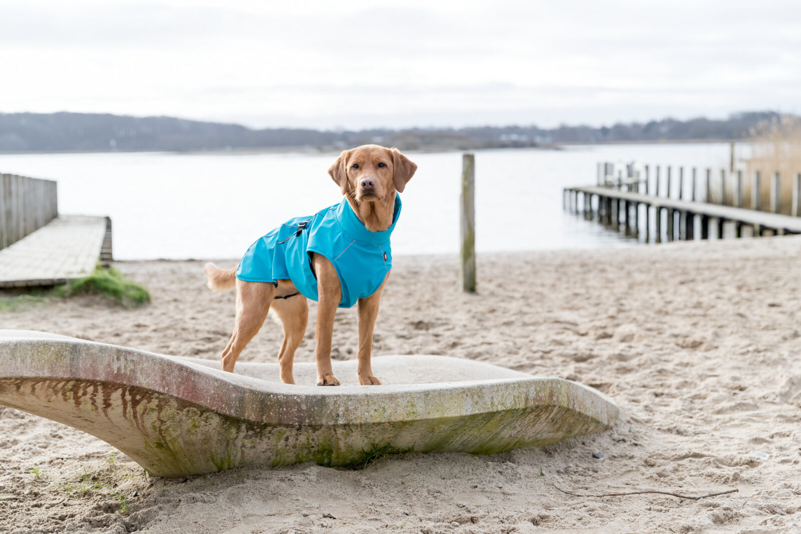 TRIXIE Regenmantel Vimy | Friesennerz für Hunde – Schutz vor Wind und Regen | Farbe Türkis S 40 cm Rückenlänge