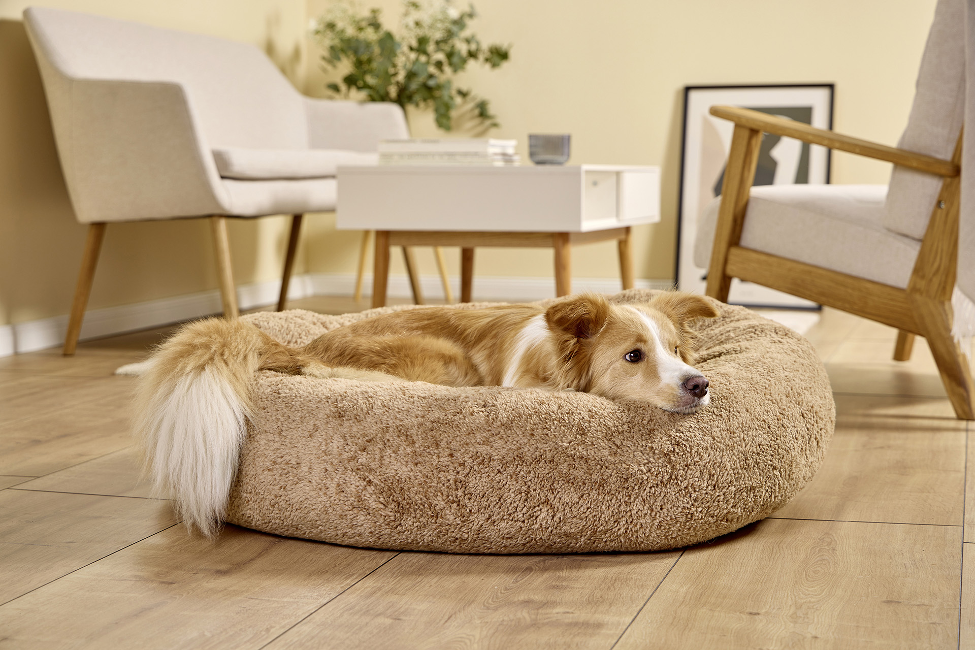 WOLTERS Hundekörbchen Sweet Dreams | Hundebett aus besonders kuscheligem OEKO-TEX® Plüsch | Cinnamon - Gr. L (Ø 90 cm x 22 cm)