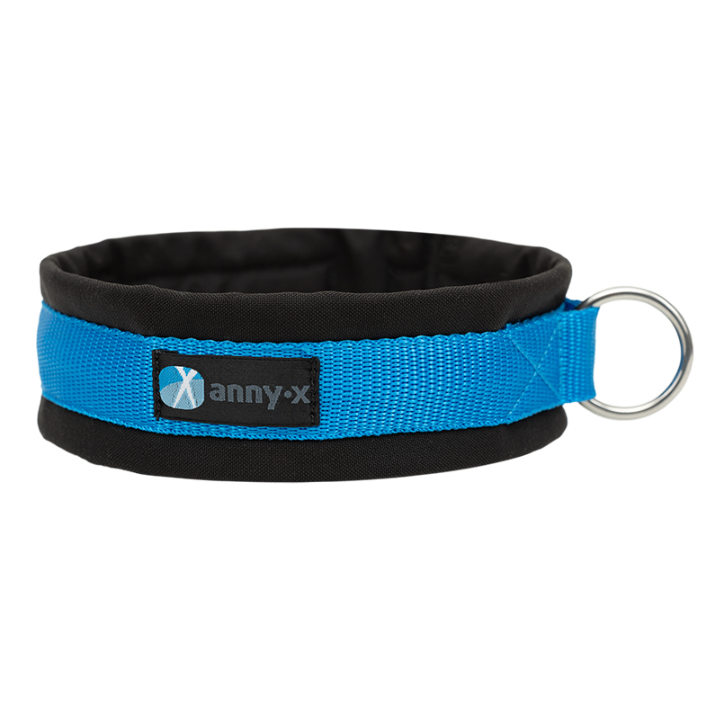 Anny·X Steckhalsband Fun Schwarz-Blau | Gepolstertes Hundehalsband | Größe 2 (27-33 cm)