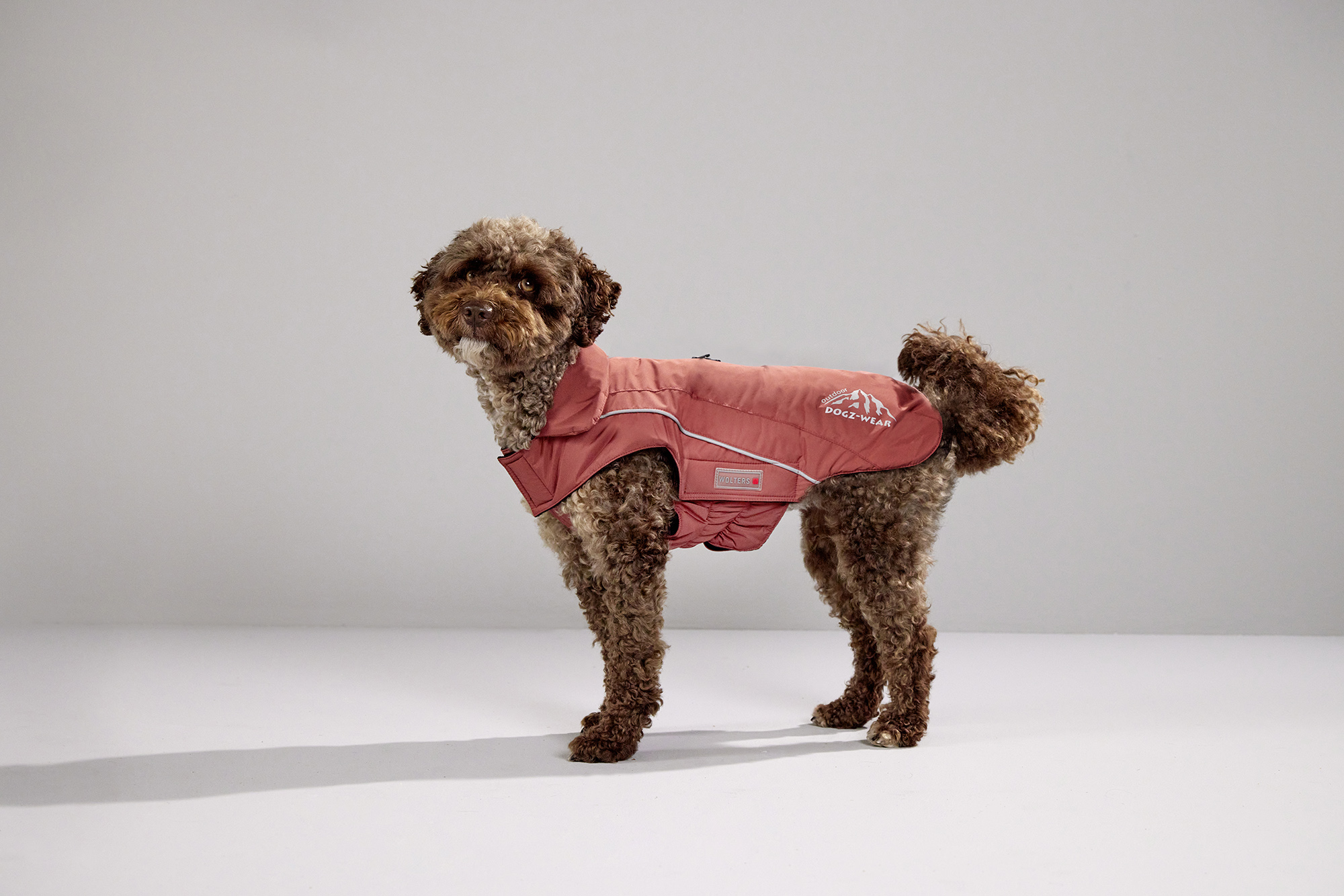 Wolters Wolters Skijacke Dogz-Wear | Wintermantel für Hunde | Farbe Rostrot | Größe 28 (Rückenlänge 27 - 29 cm)