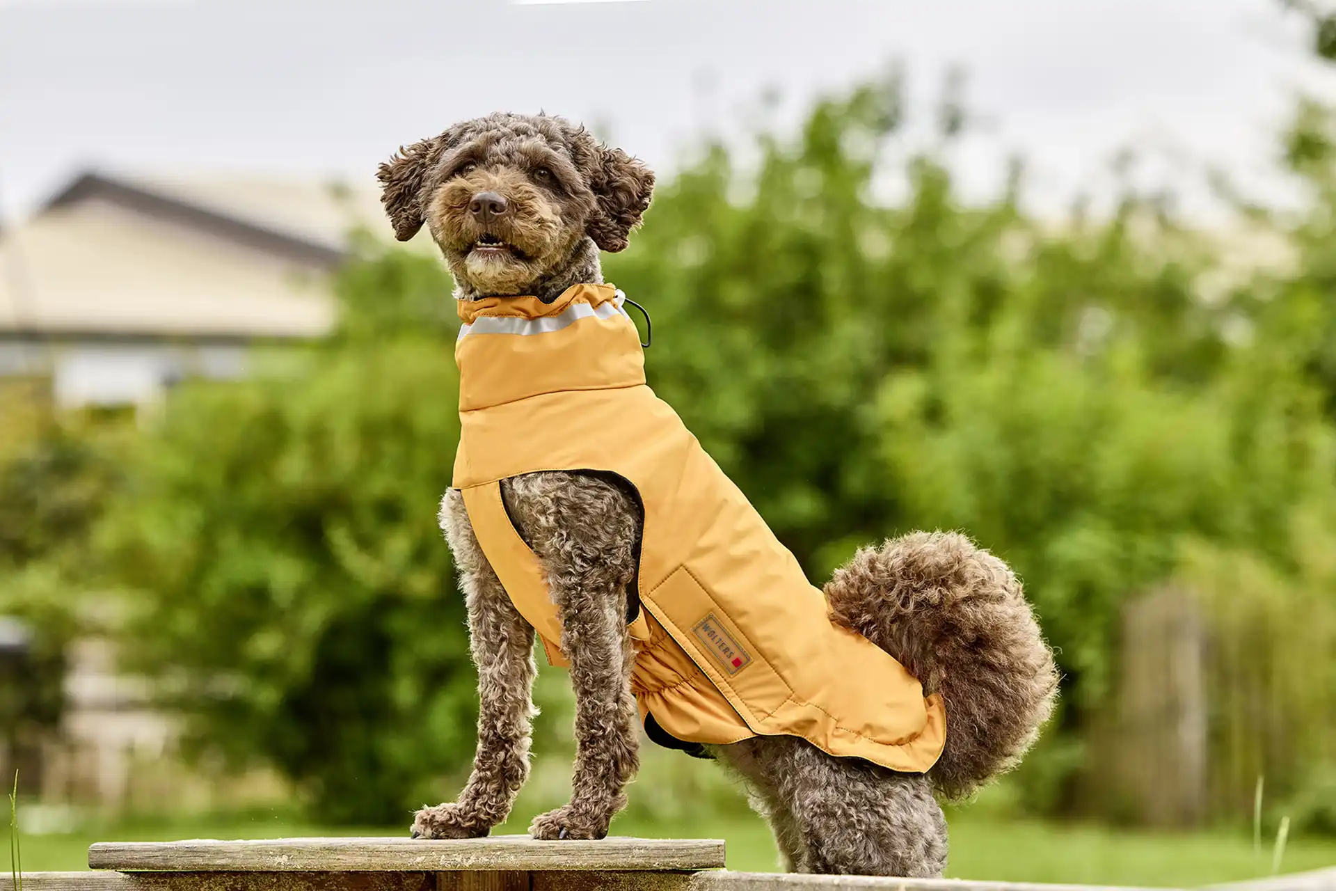 Wolters Outdoorjacke Modern Classic | Hundejacke die perfekt schützt bei Kälte und Nässe | Orange - Gr. 28 (Rückenlänge 27 - 29 cm)